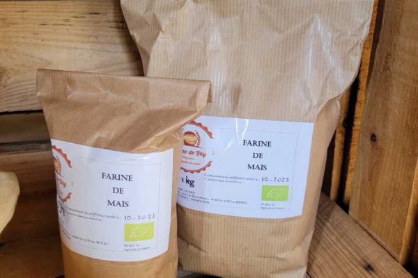 Farine de maïs - 500g