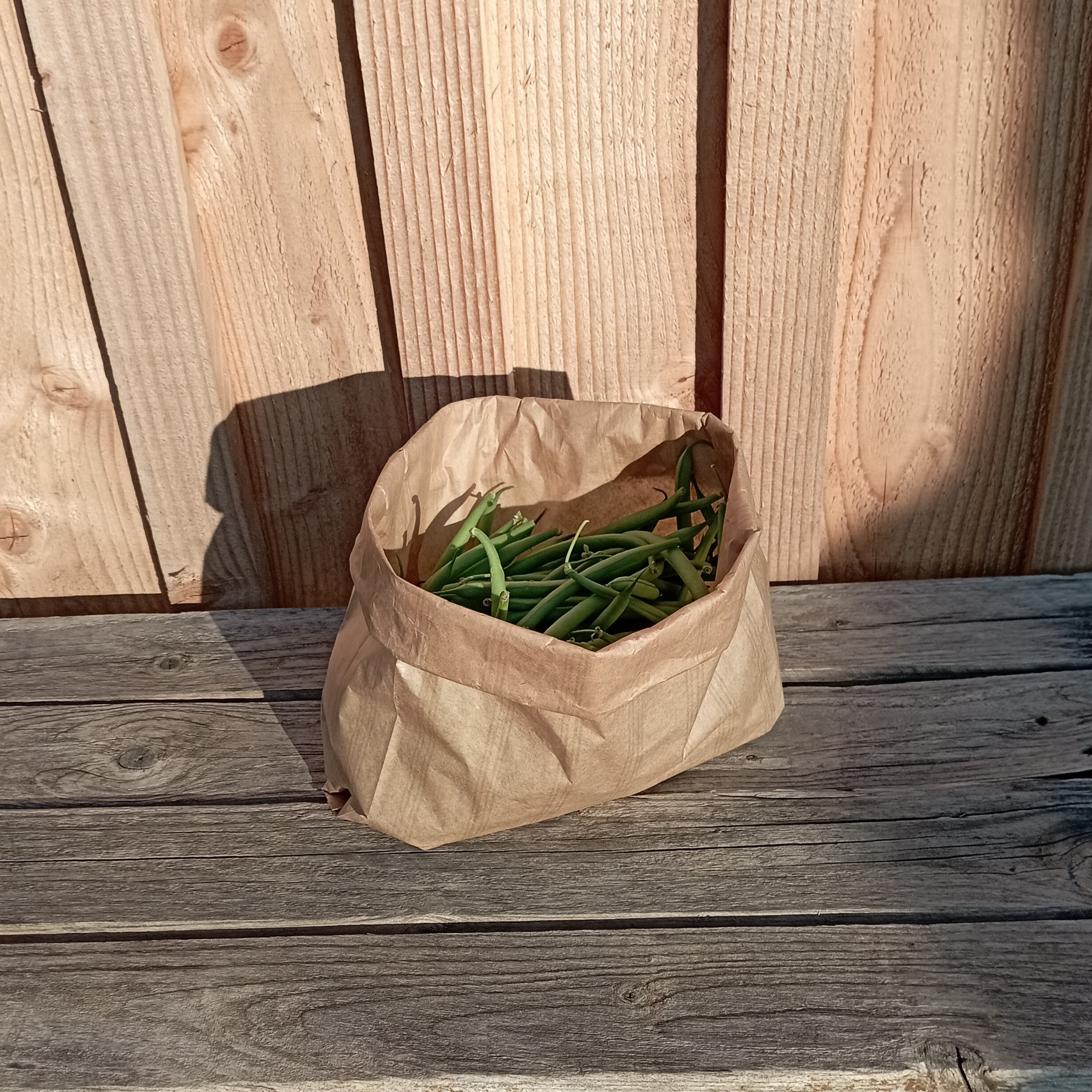 Haricots verts - 250g