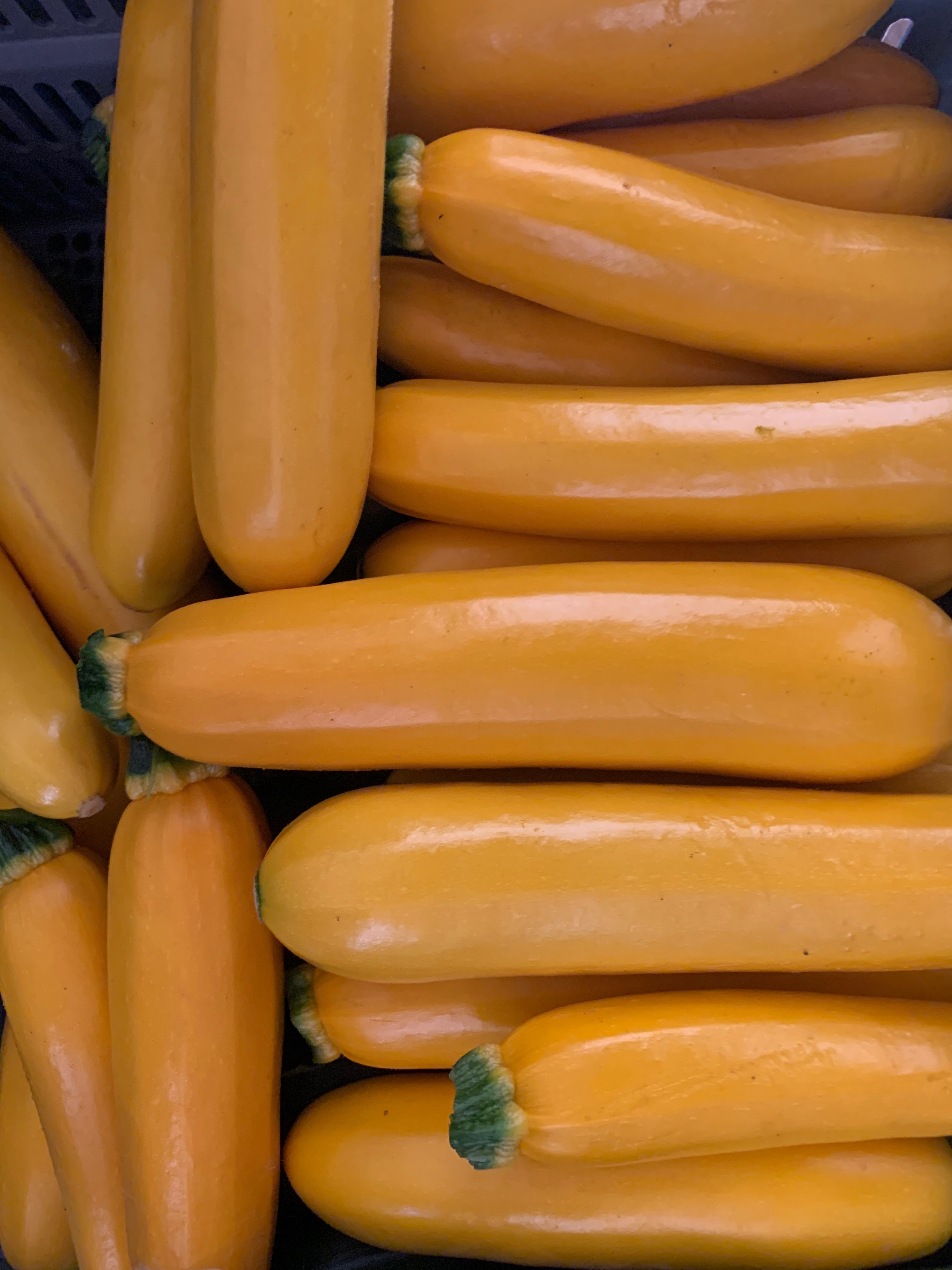 Courgette jaune (kg)