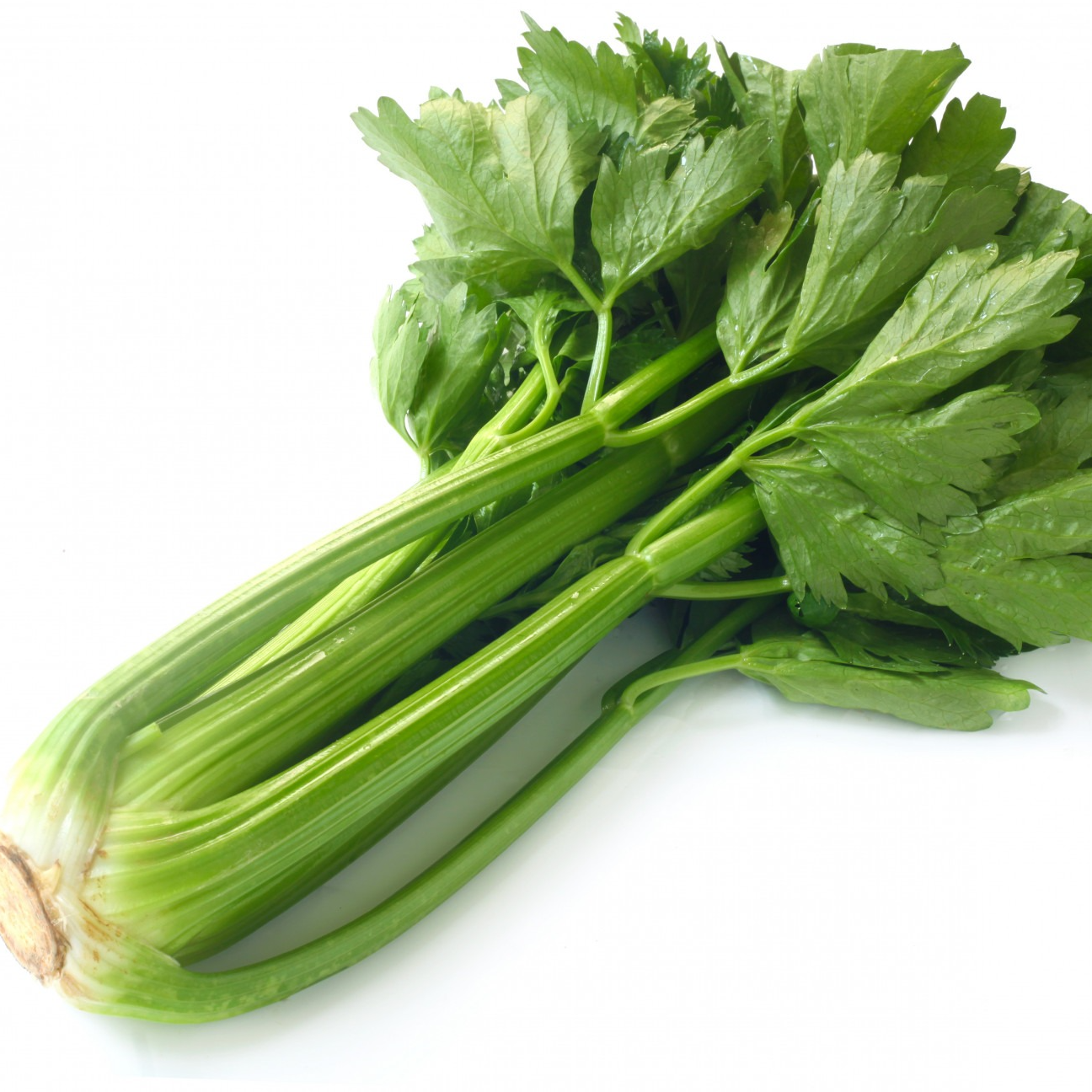 Céleri Branche (pièce)