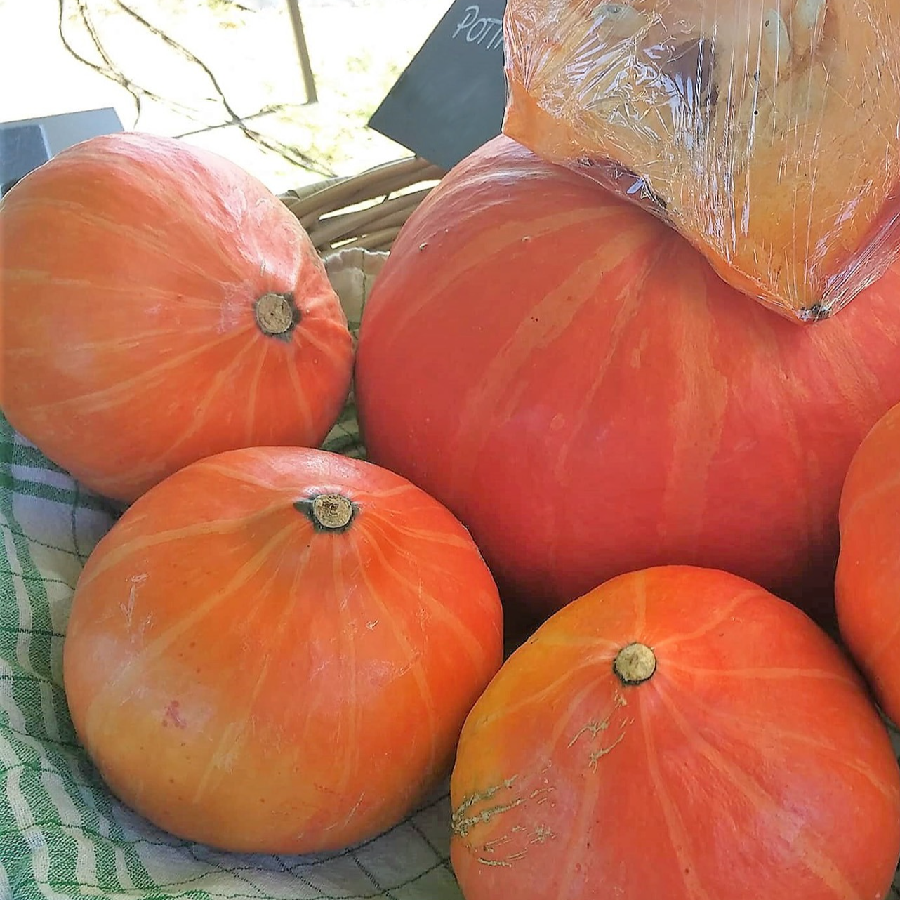 Courge Potimarron (1Kg)