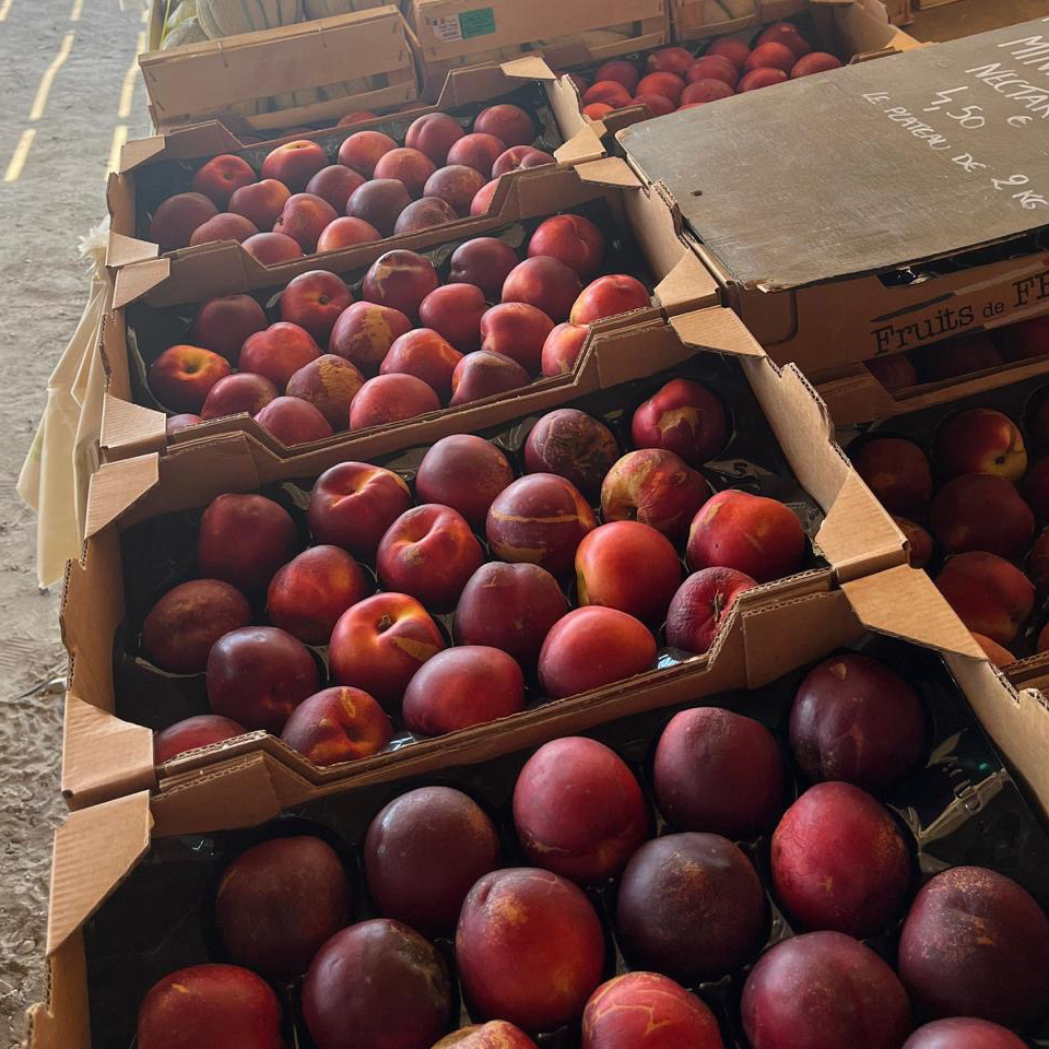 NECTARINE / 2 Mini plateau