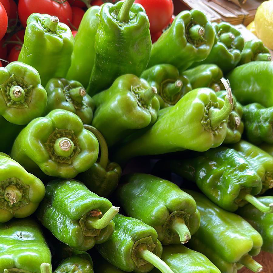 POIVRON TENDRE VERT LIPARI