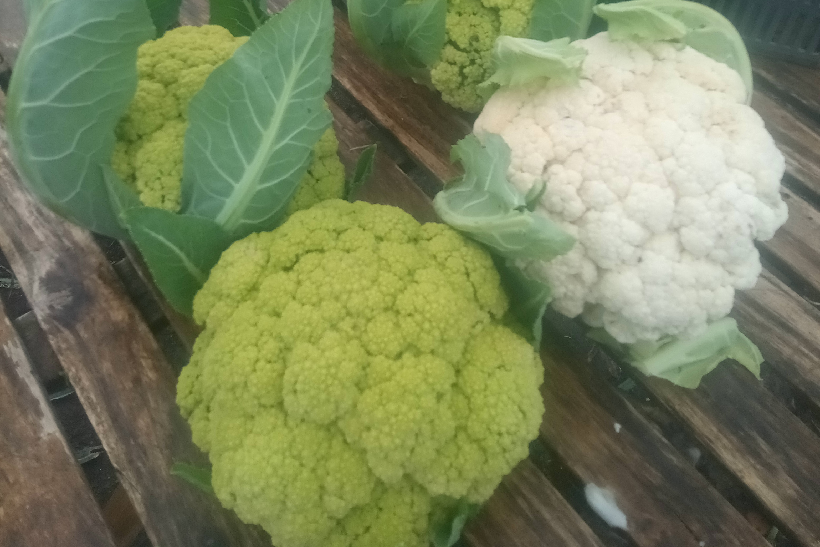 Chou fleur