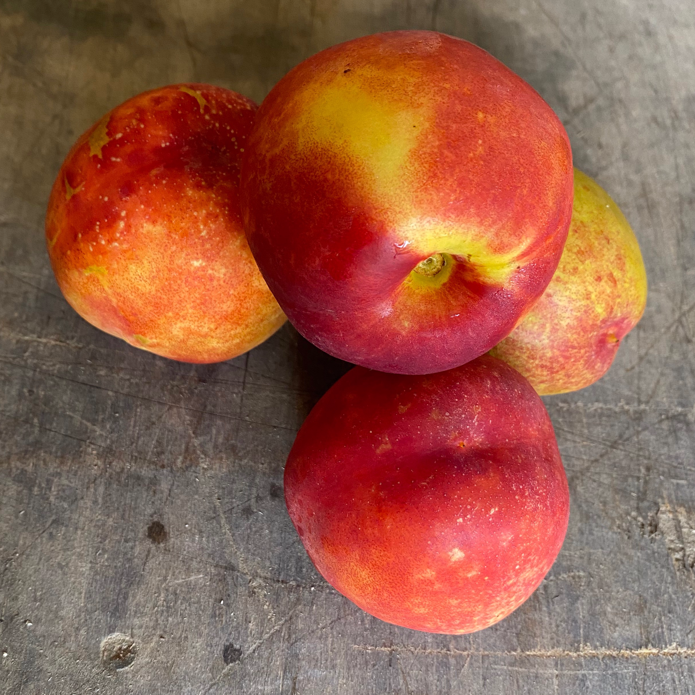 NECTARINE jaune PAYS