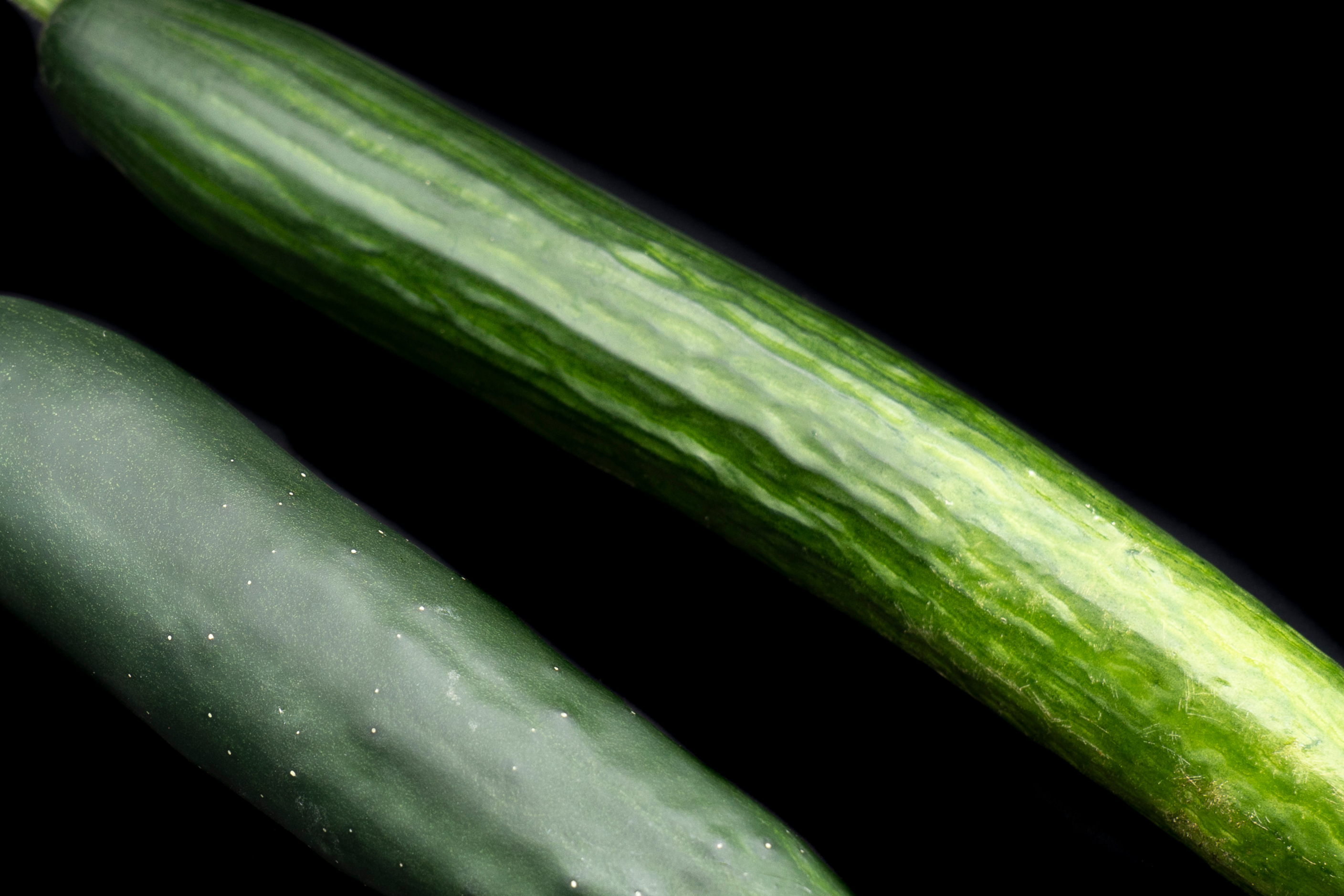 CONCOMBRE pièce