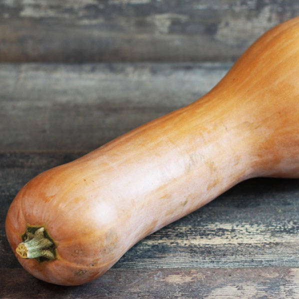 Courge Longue De Nice (1Kg)