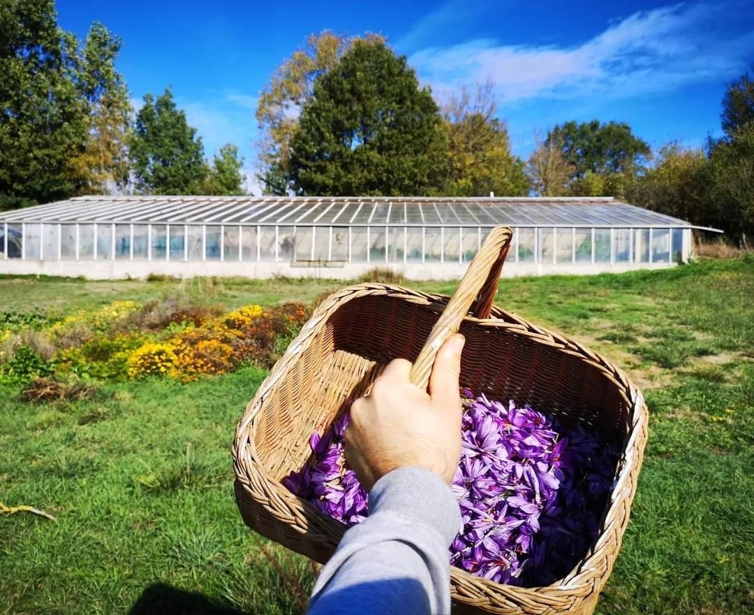 Les jardins de l'instant Végétal 