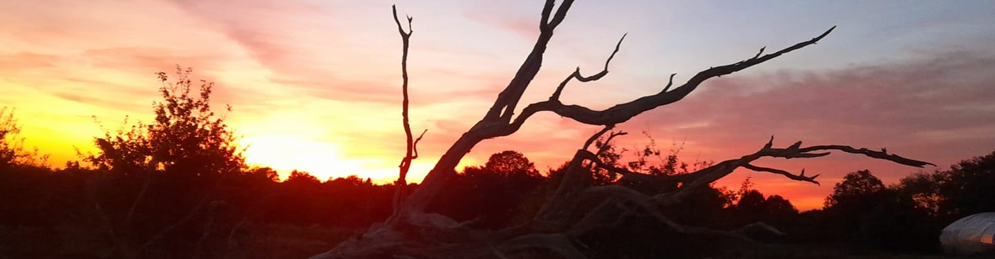 POTAGER DE L'IMPASSE