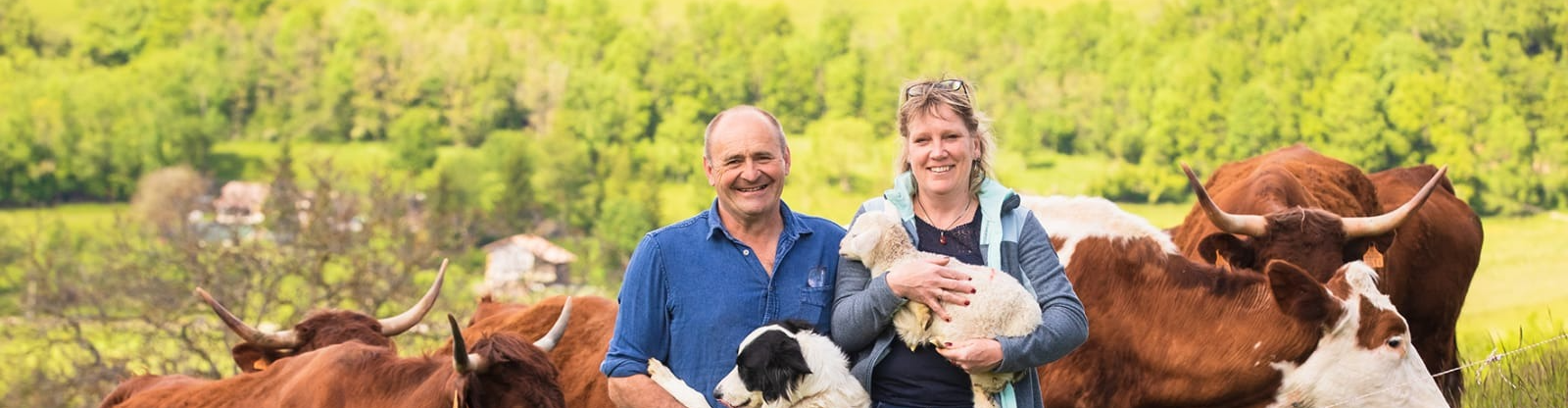 la ferme de toutes aures allibe