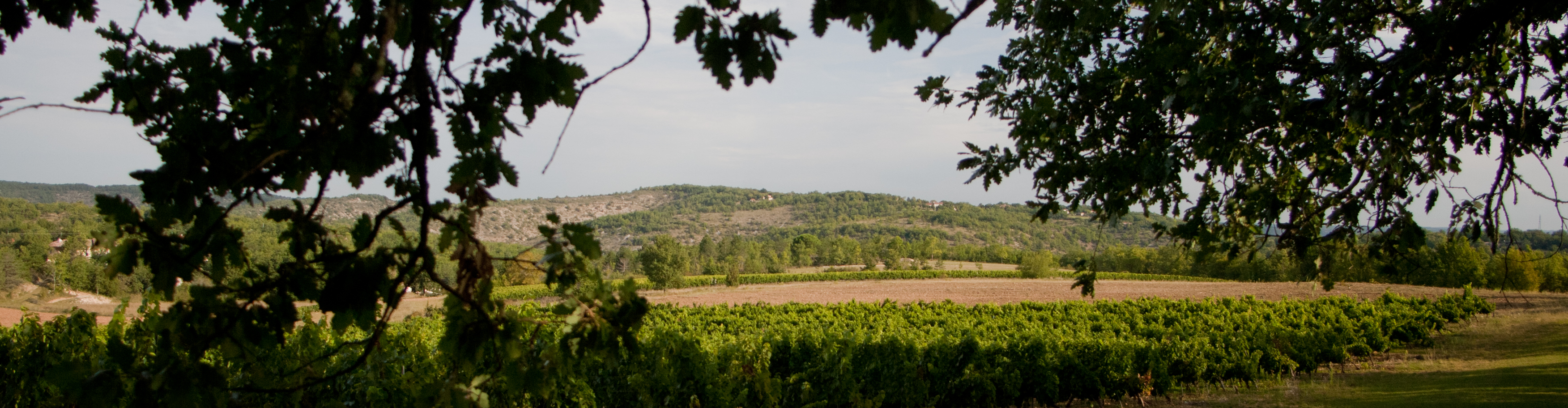 Domaine du Souleillan