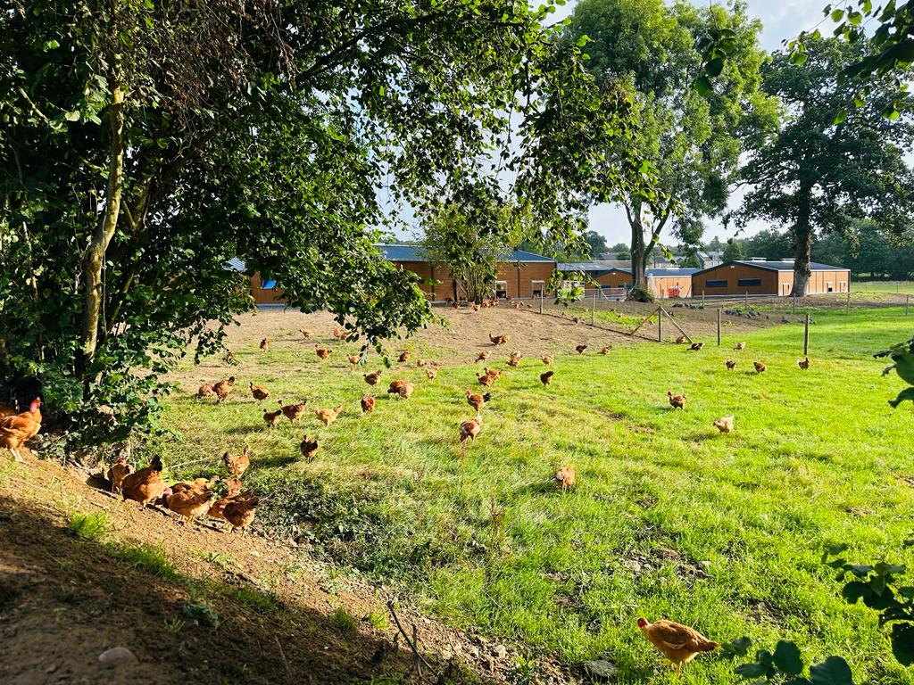 EARL PARC DE LA VITARDIERE