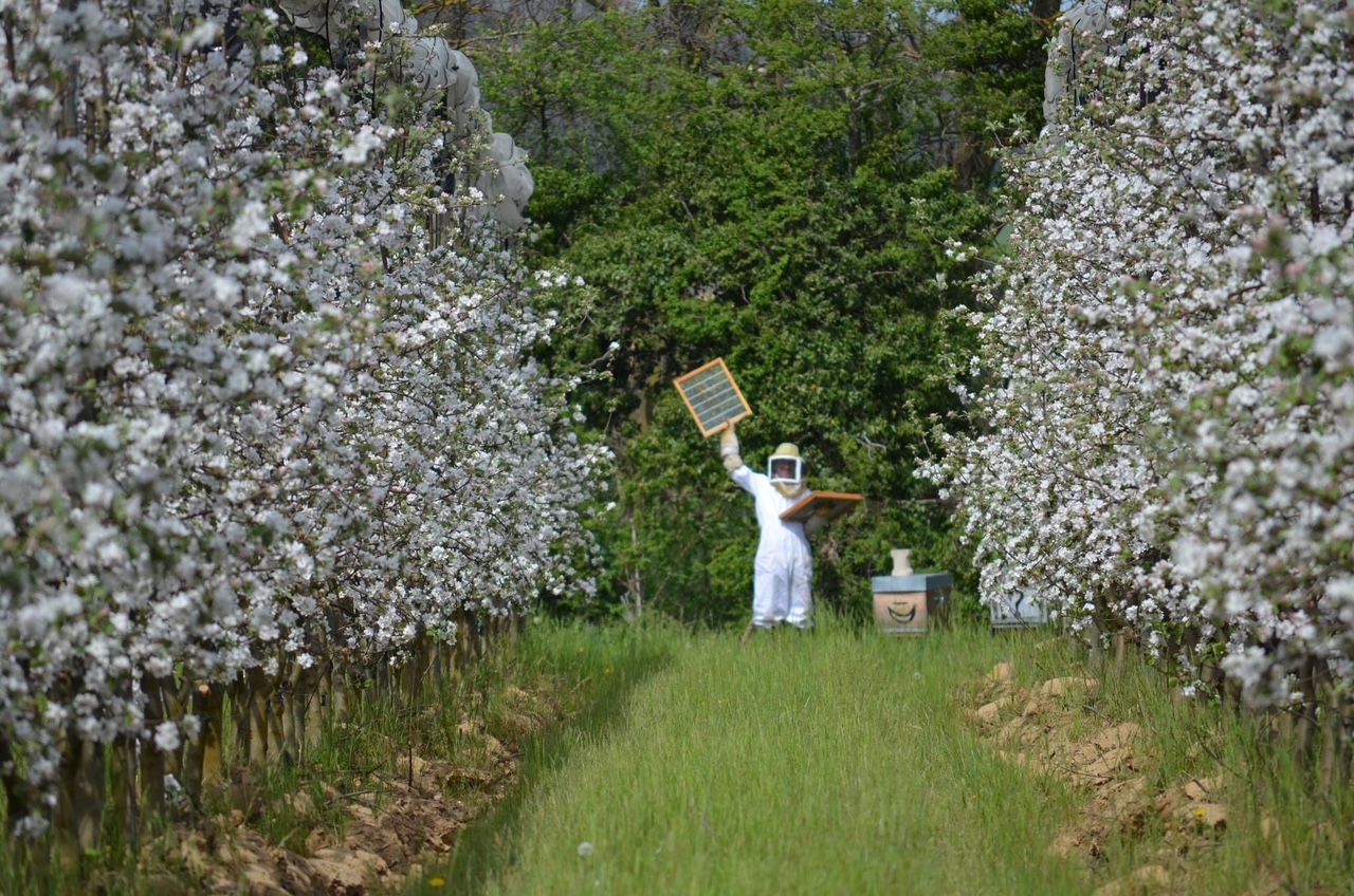 le Rucher Poète