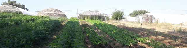 Stéphanie BERNARD Maraîchère