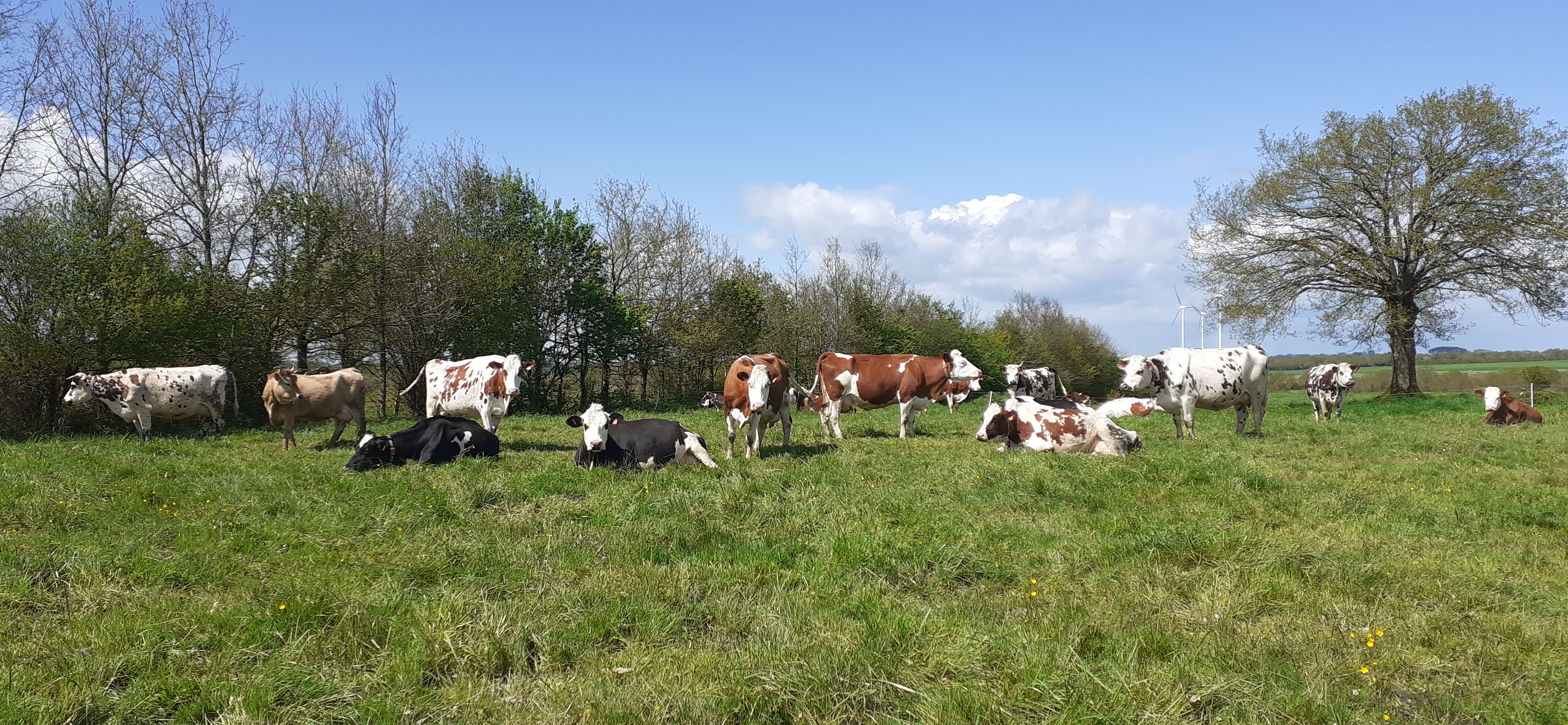 FERME DE BELCHAMP