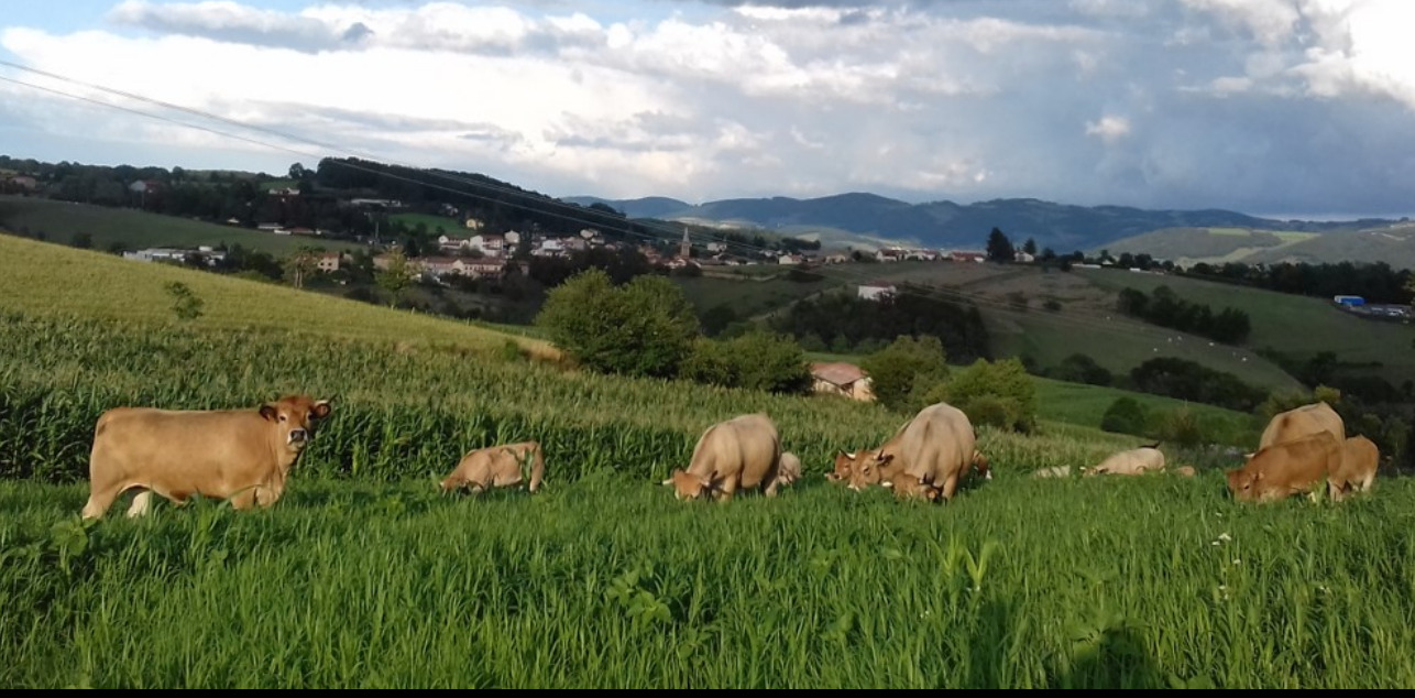 LA FERME DES BOURETTES