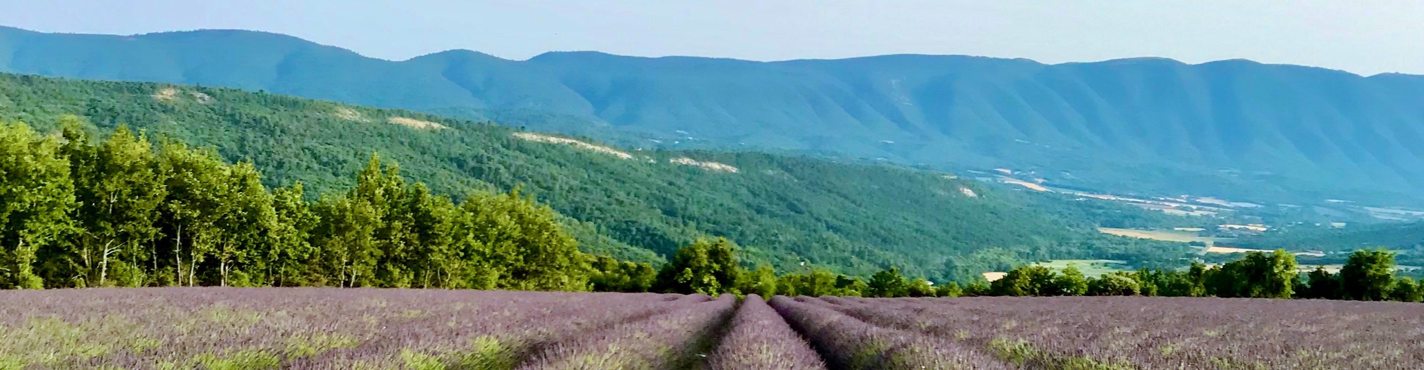 JEAN BAPTISTE BLANC©®