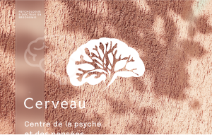 Identité graphique pour le cabinet de psychologie de Jordan Solt à Tahiti