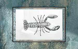 Pointillism Fine art Illustration - The Zebra Lobster Framed