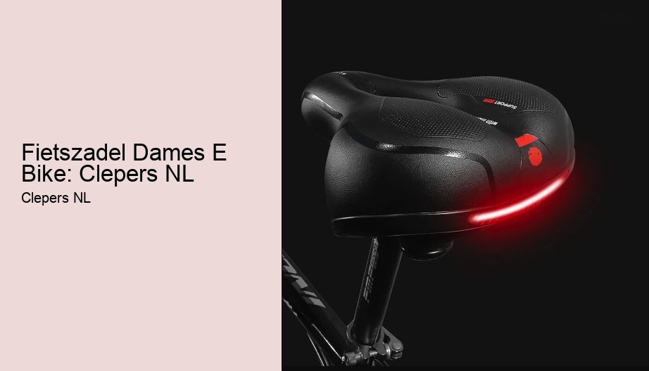 Fietszadel Dames E Bike: Clepers NL