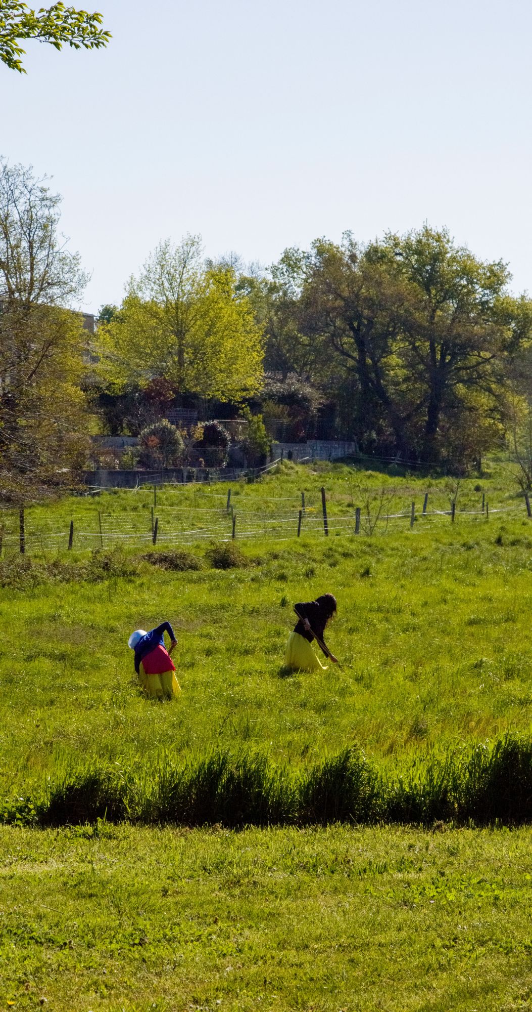 Sortie de route ©Tommy Poisson