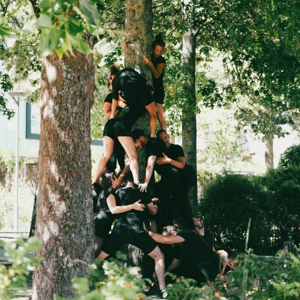 Les voyages acrobatiques