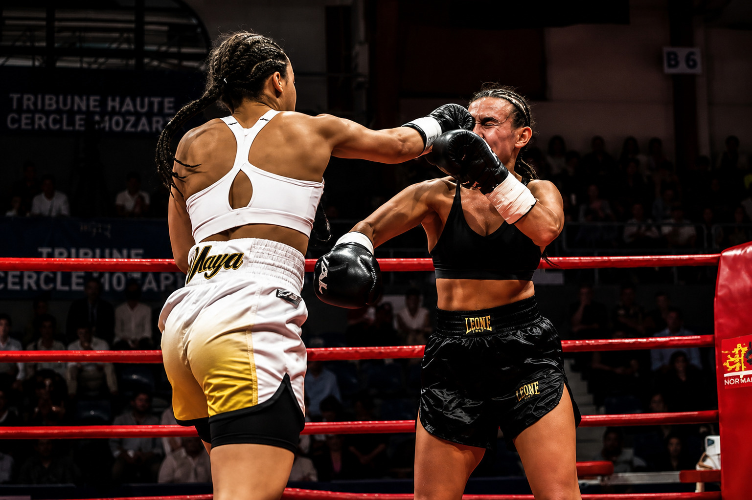 Renier vs Zdravkovic