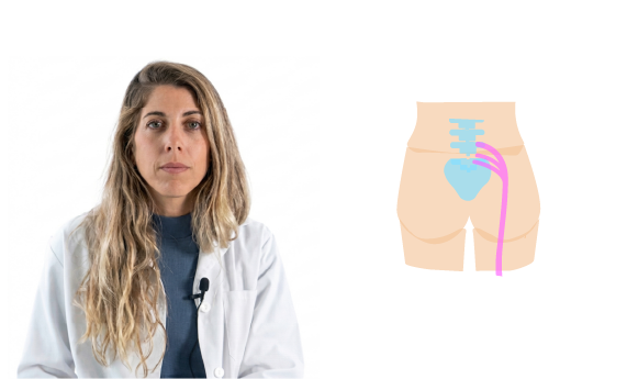 Ciática, lumbares y cervicales