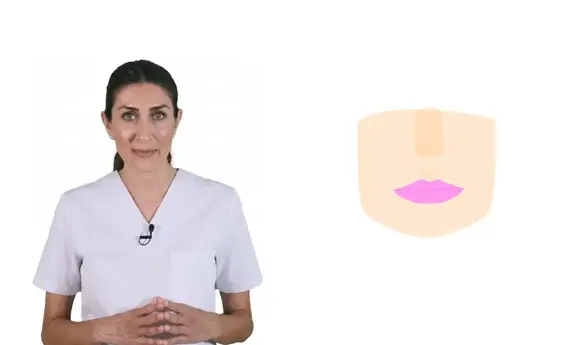 Los labios