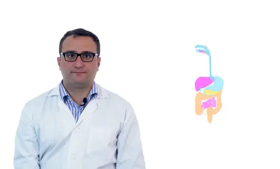 Aparato digestivo