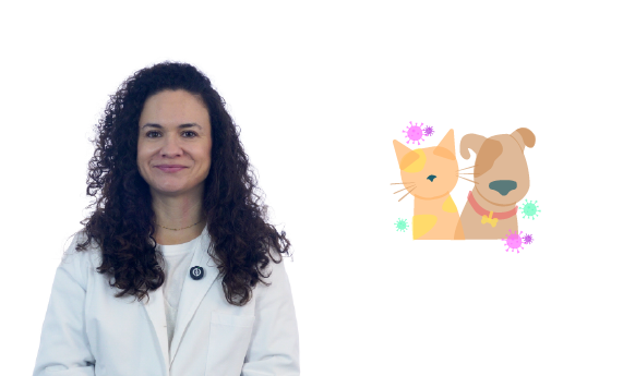 Enfermedades en perros y gatos