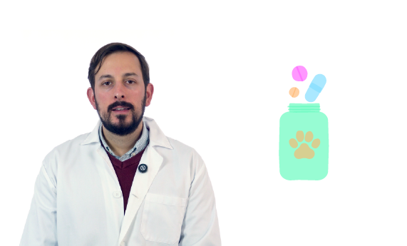 Complementos nutricionales en veterinaria