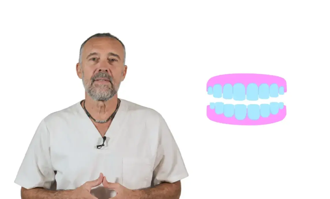 Los dientes