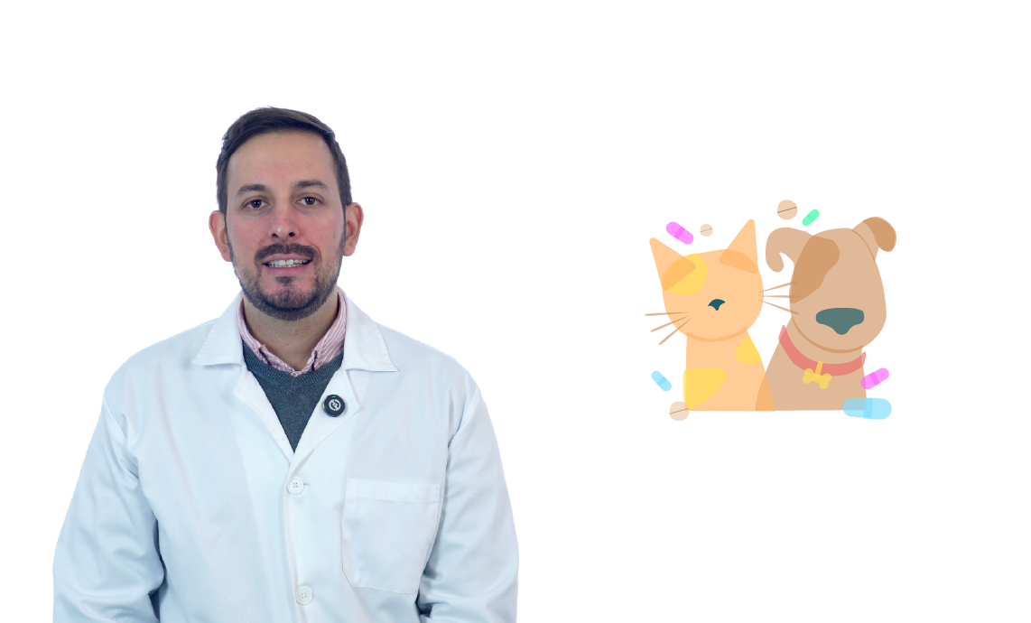 Medicamentos para mascotas