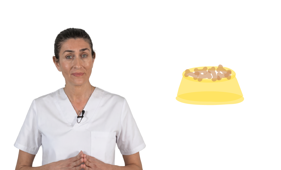Nutrición en mascotas
