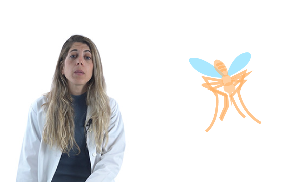 Mosquitos