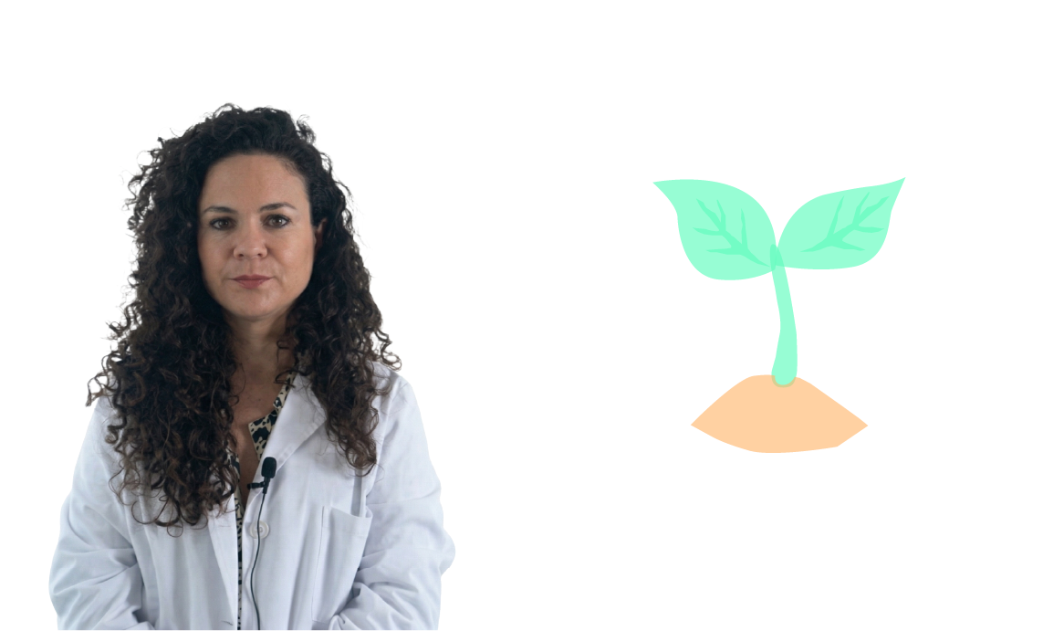 Fitoterapia en aparato respiratorio