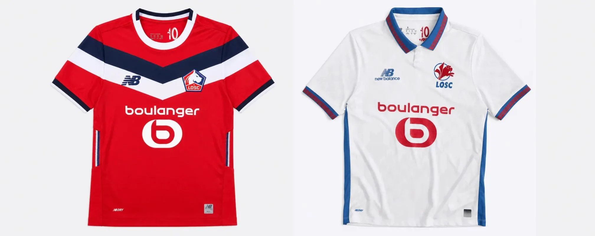 310726-losc-1.webp
