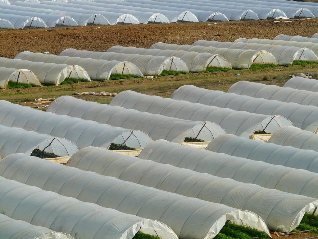 Tunnel agricole : Définition et conseils pour jardiner avec de hauts ...