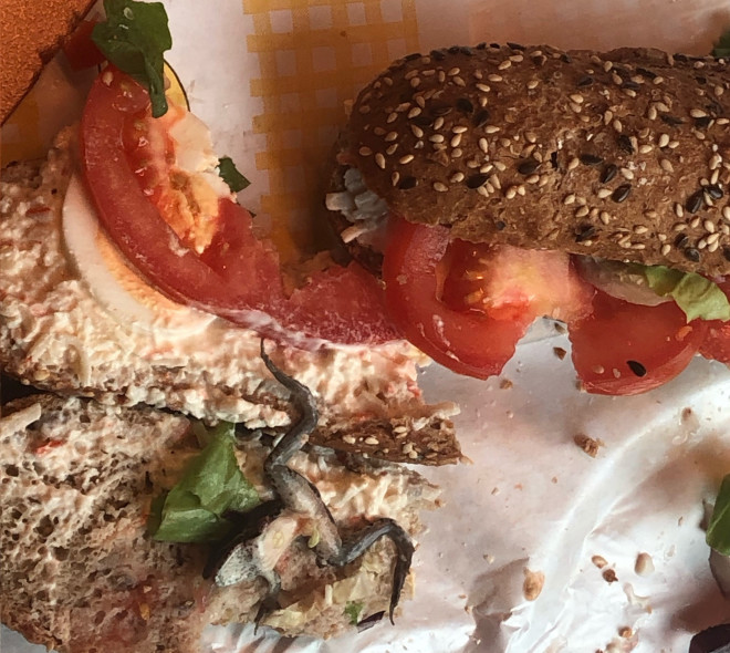 Bon appétit : un sandwich qui coasse, ça coince