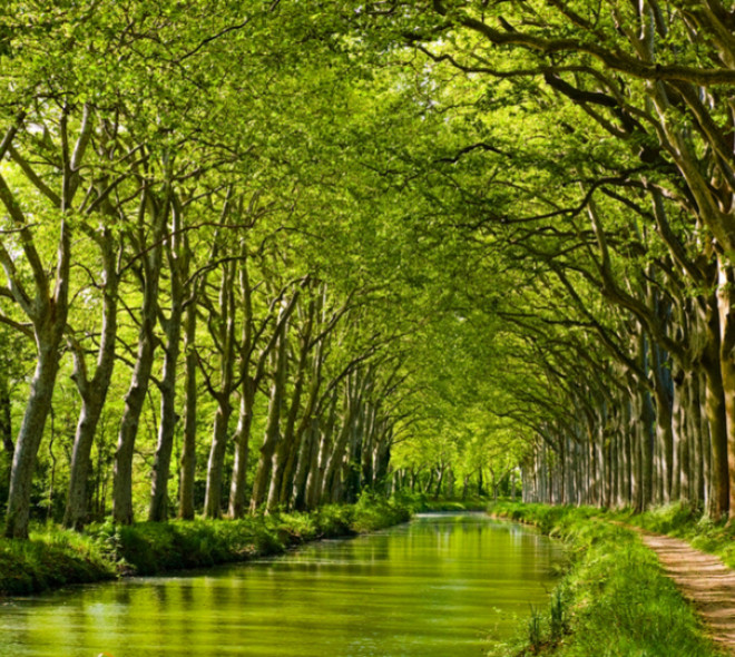 One day of Canals tourism in Hainaut