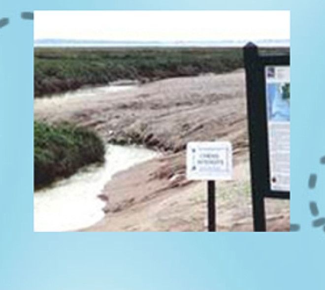 Baie de Somme