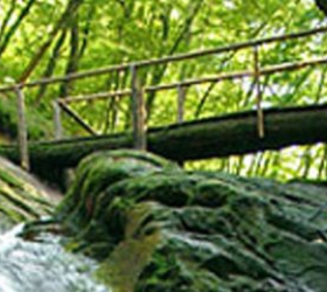 De Belgische Ardennen