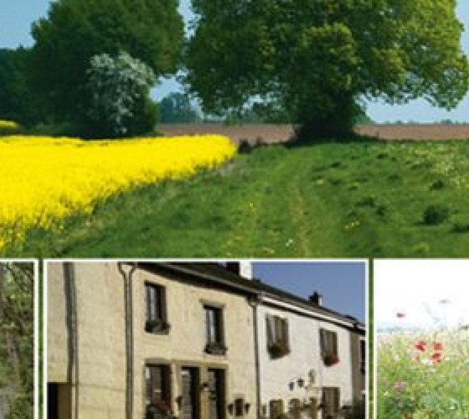 Across Belgium : GR 129