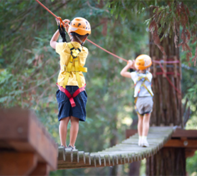 Ropes course in Brussels