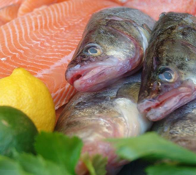 Fish in all its forms