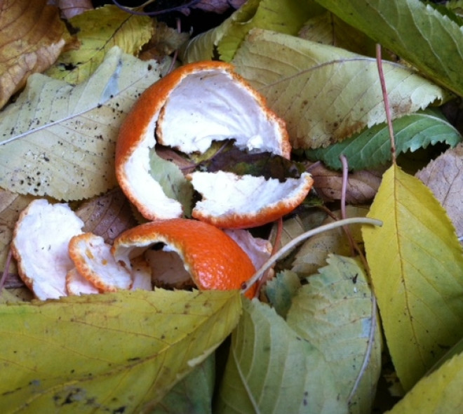 Composting in Brussels
