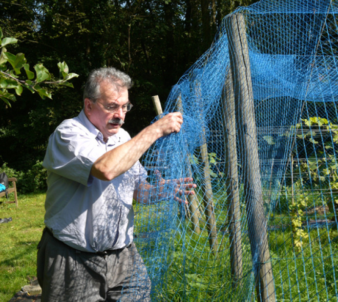 Marc de Brouwer, vigneron bruxellois
