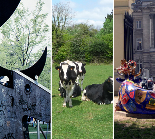 Top 5 des vaches à Bruxelles