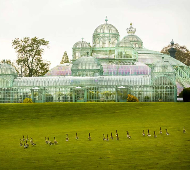 Des photos incroyables des Serres Royales de Laeken